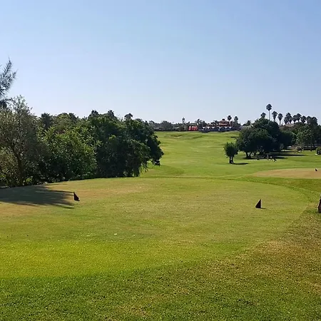 Apartment Albufeira, With Terrace, Views, 5 Min To