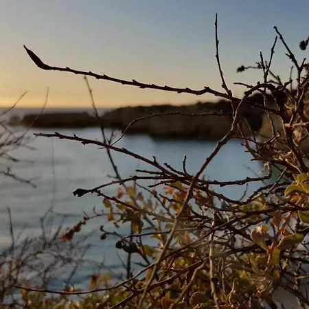 Albufeira, With Terrace, Views, 5 Min To Appartement *